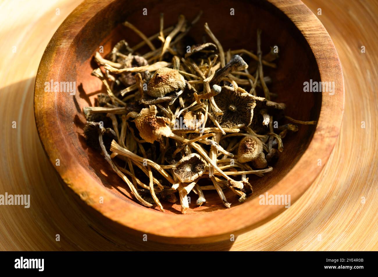 Getrocknete halluzinogene Zauberpilze in einer Holzschüssel. Psychoaktive Psilocybin-Pilze. Getrocknete Pilze auf Grunge-Teller Stockfoto