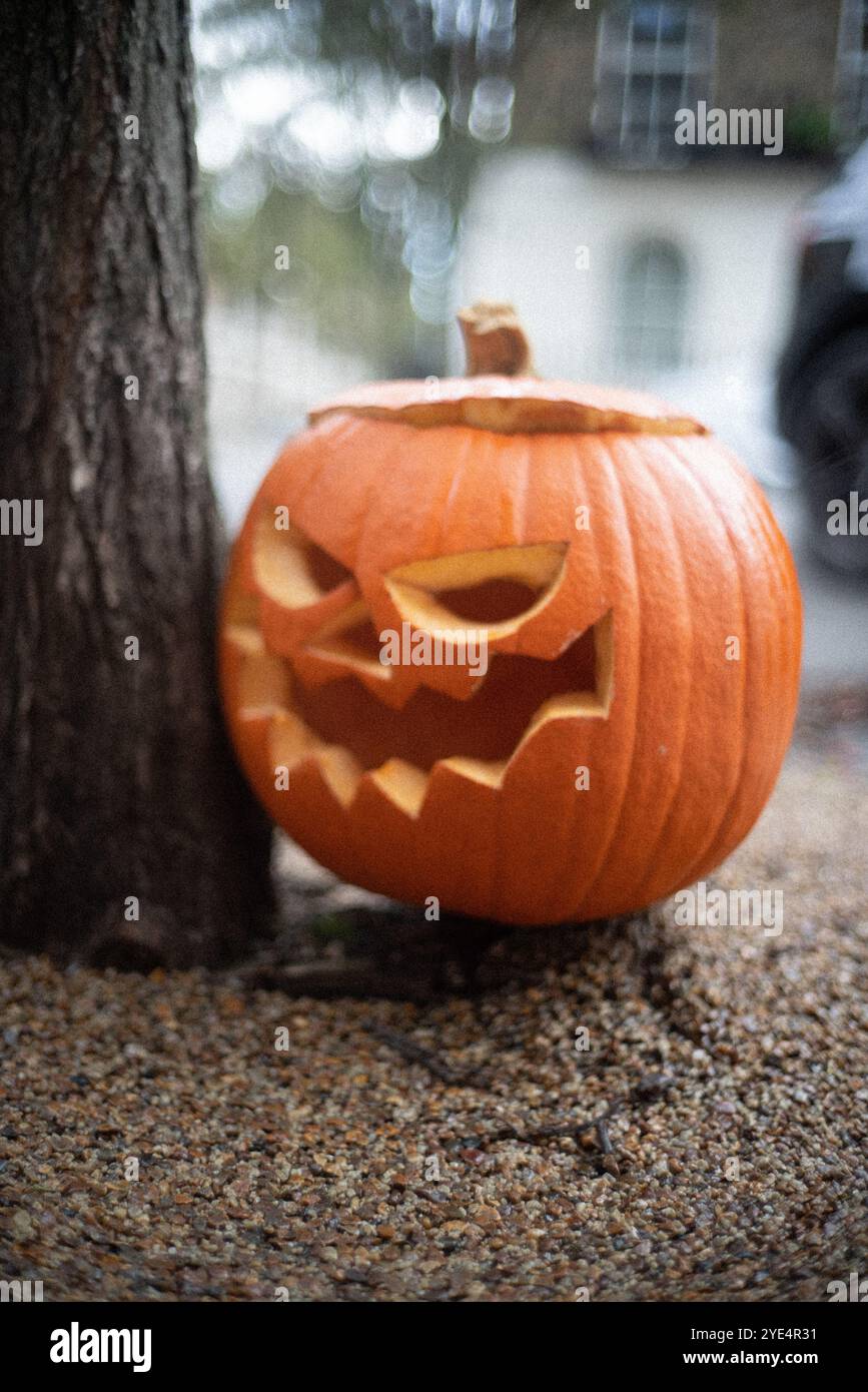 Orangefarbener Halloween Kürbis mit geschnitztem wütendem gruseligen Gesicht auf der Straße. Kinofoto Stockfoto
