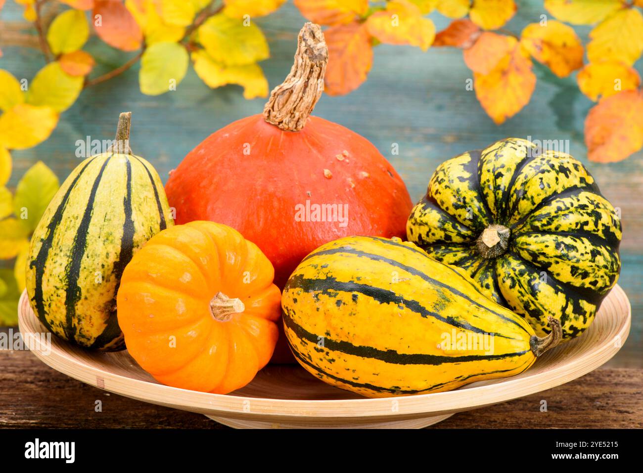 Herbstliche Dekoration Herbst-Dekoration mit Blättern und Früchten *** Herbstdekoration Herbstdekoration mit Blättern und Früchten Stockfoto