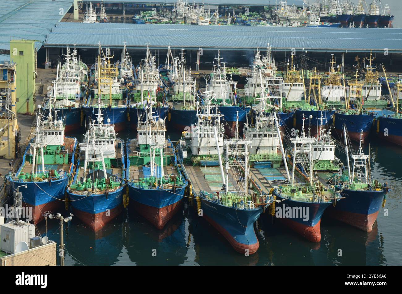 Fischerboote im Hafen von Busan, dem größten Hafen Südkoreas, dessen Lage als Busan Harbor bekannt ist. Stockfoto