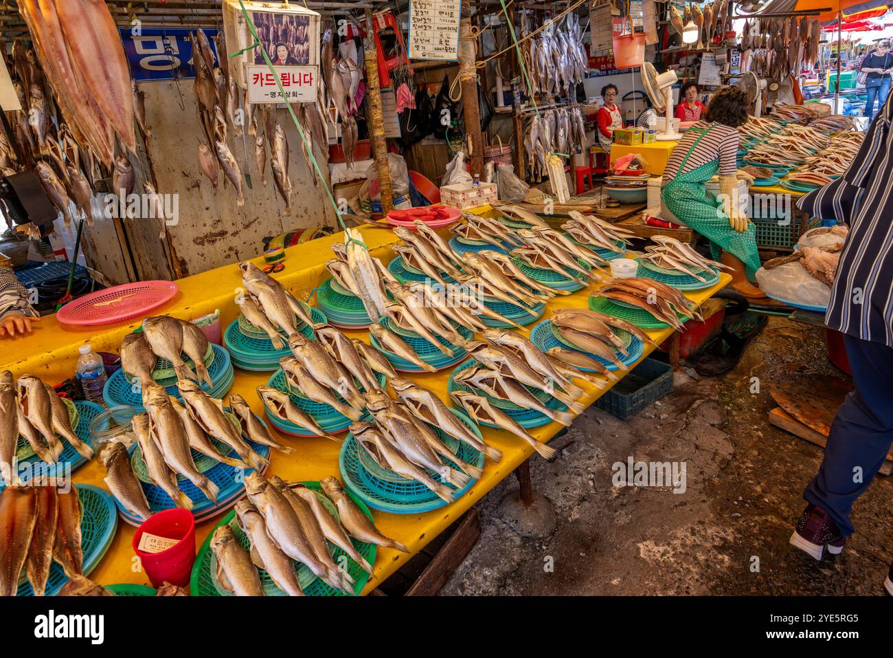 Nahaufnahme des Fischstandes in Jagalchi Fish Market, Busan, Südkorea am 1. Ocotber 2024 Stockfoto