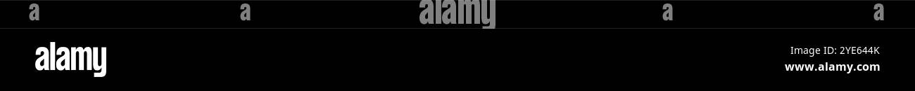 Einfaches Zeilensymbol. Gerade Linie. Editierbarer Vektor. Stock Vektor