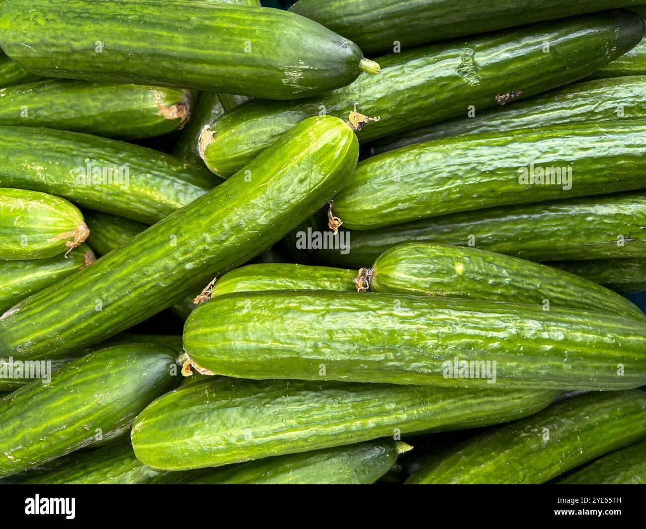 Gurken aus dem Außenmarkt. Gurkenhintergrund. Gemüse vom Markt. - Smartphone-aufgenommenes Stockfoto