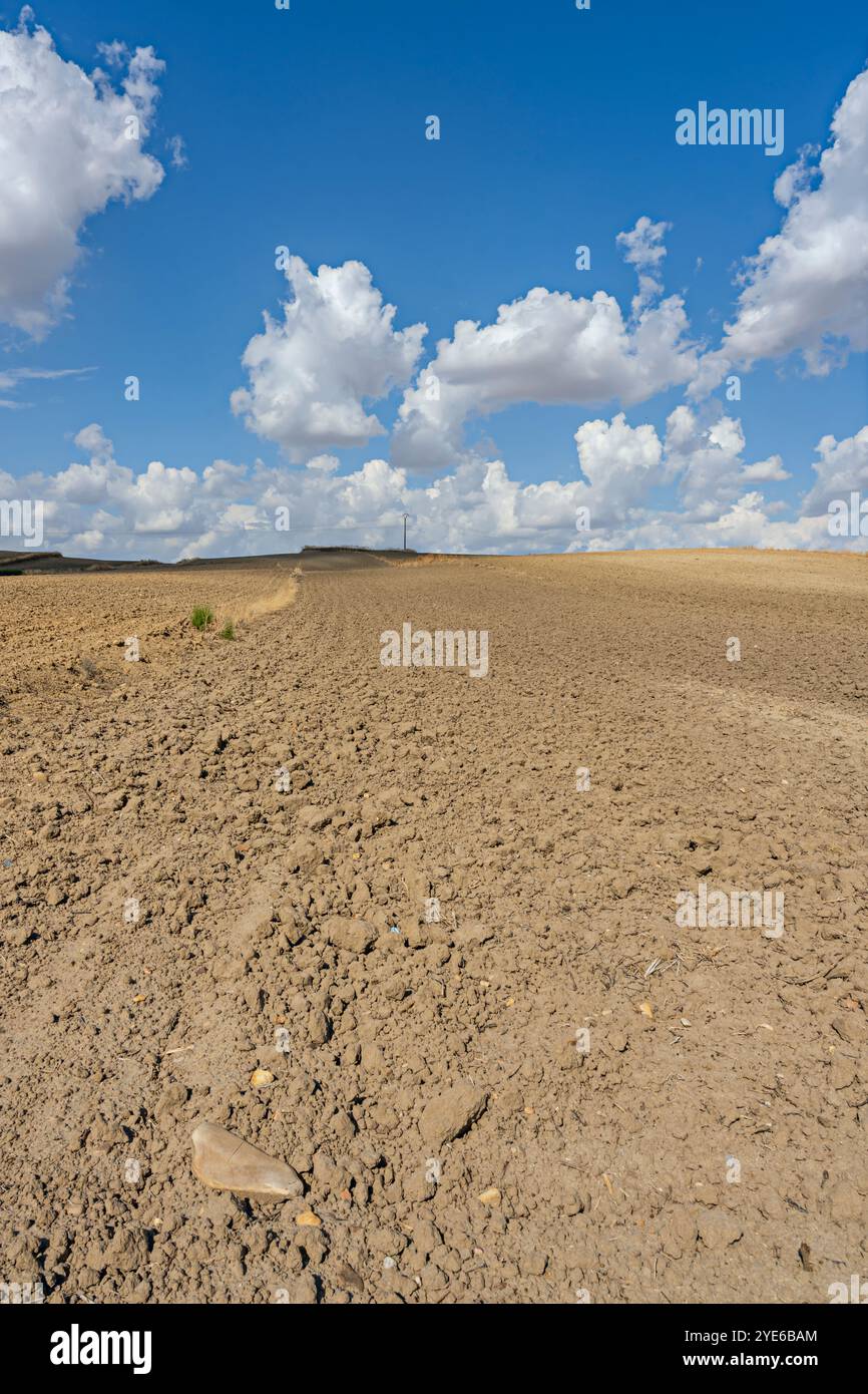 Der Blick geht verloren in einem Horizont, wo das Land mit dem Himmel verschmelzen scheint und ein Gefühl von Unermesslichkeit und Freiheit schafft Stockfoto