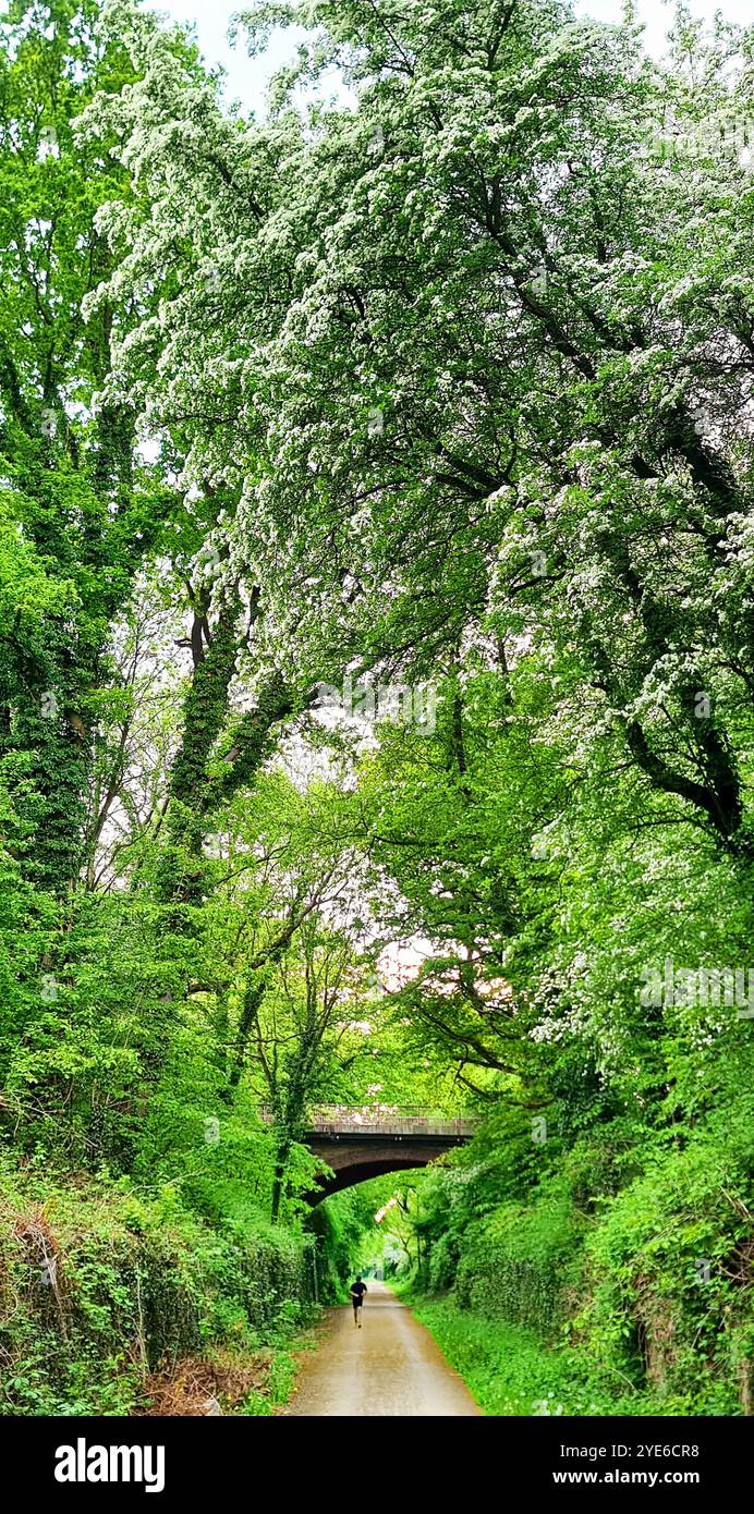 Schienenradweg Rheinischer Esel mit Jogger im Frühjahr, Deutschland, Nordrhein-Westfalen, Ruhrgebiet, Witten Stockfoto