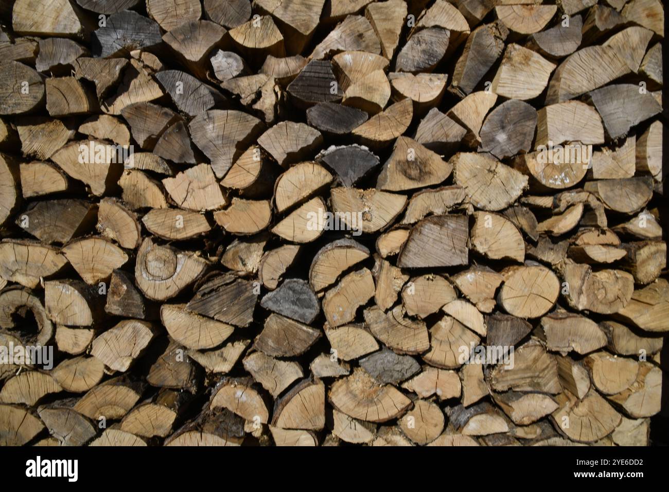 Stapelholz trocknen im Schuppen Stockfoto