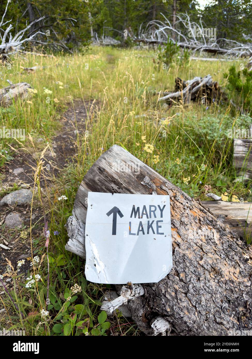 Das selbstgemachte Mary Lake Schild weist Wanderer in Richtung Landmark in Yellowstone Stockfoto