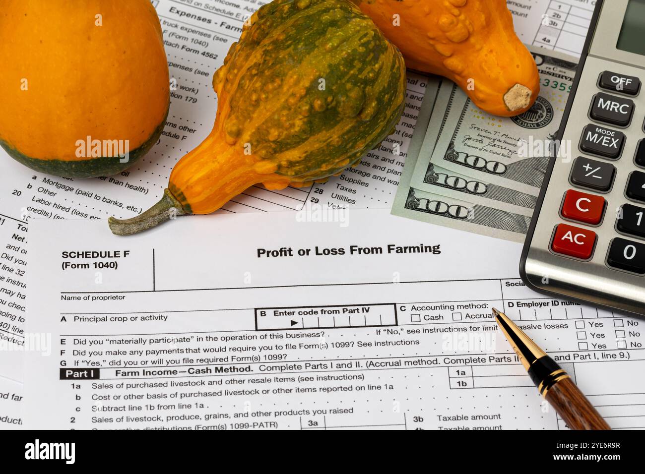 Zierkürzel und Agrarsteuerformular. Cucurbit Farming-Einkommen, Finanzen und Management-Konzept. Stockfoto