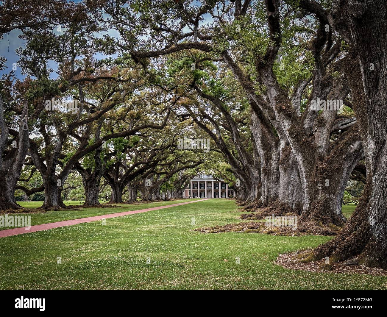 Oak Alley Plantation, Vacherie, St. James Parish, Louisiana, USA Stockfoto