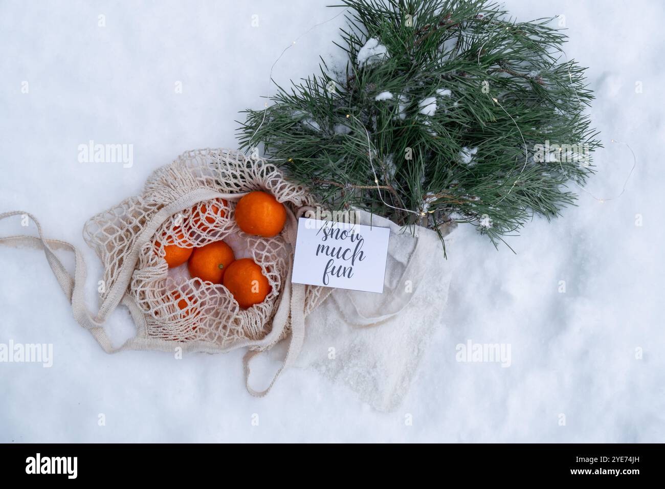 SCHNEE VIEL SPASS Text auf Postkarte Mesh Einkaufstasche mit Mandarinen mit Tannenzweig und Girlande im verschneiten Winter draußen. Go Green Konzept umweltfreundliche und nachhaltige Weihnachten. Flache Lage im Schneehintergrund. Verantwortungsvolle Feier Stockfoto