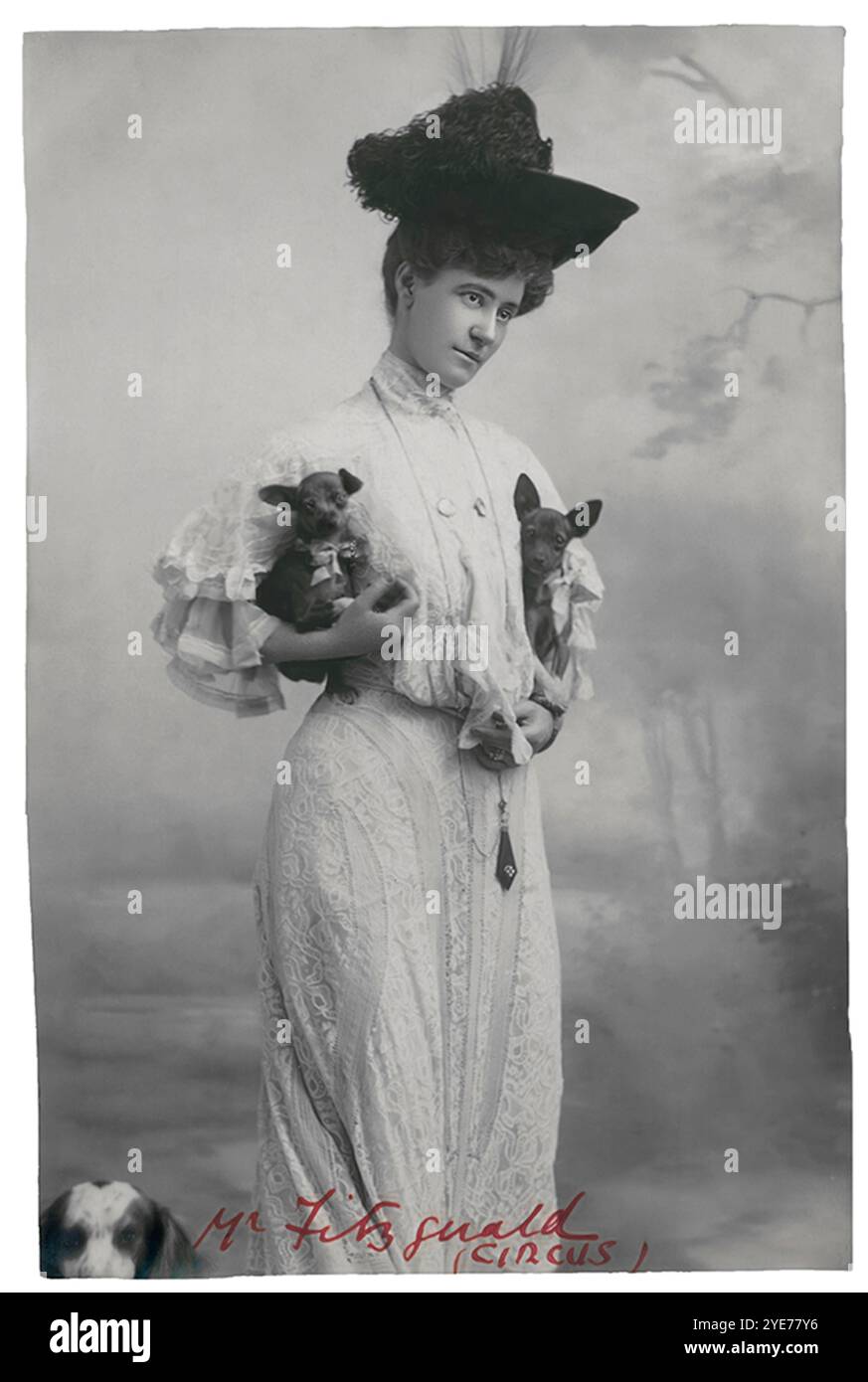 Miss Fitzgerald Vaudeville Darstellerin. Vintage-Bild von Varieté und Zirkus-Hundetrainer Miss Fitzgerald Stockfoto