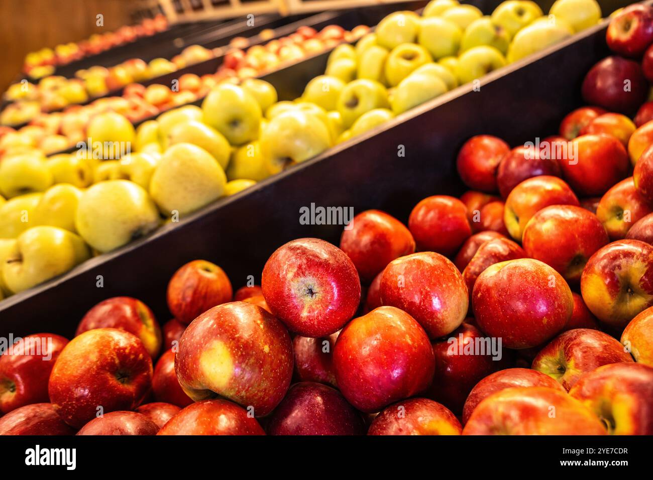 Mülleimer mit frischen Äpfeln bei B.J. Reece Orchards in Ellijay, Georgia. (USA) Stockfoto