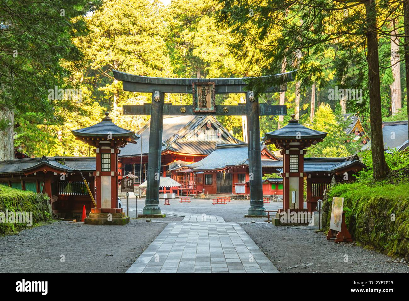 Karakane Torii des Futarasan-Schreins in Nikko, Präfektur Tochigi, Japan. Übersetzung: „Futarasan-Schrein“ Stockfoto