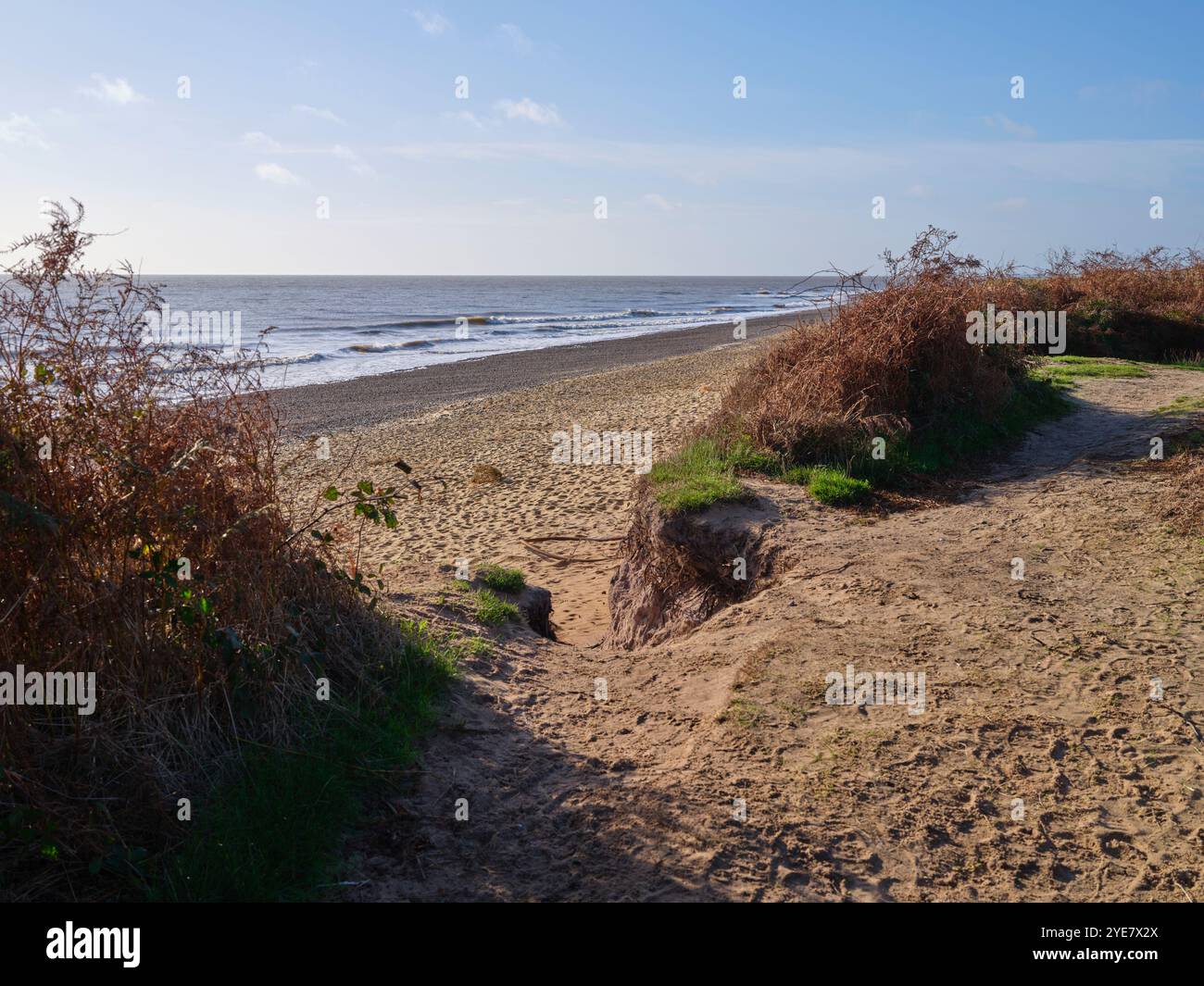 Covehithe Beach, Benacre National Nature Reserve Stockfoto