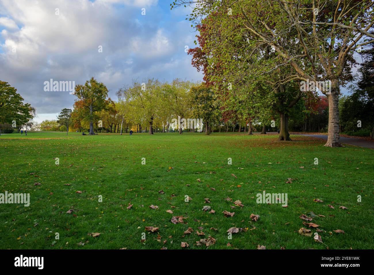 London - 10 15 2022: Blick auf den Roundwood Park Stockfoto