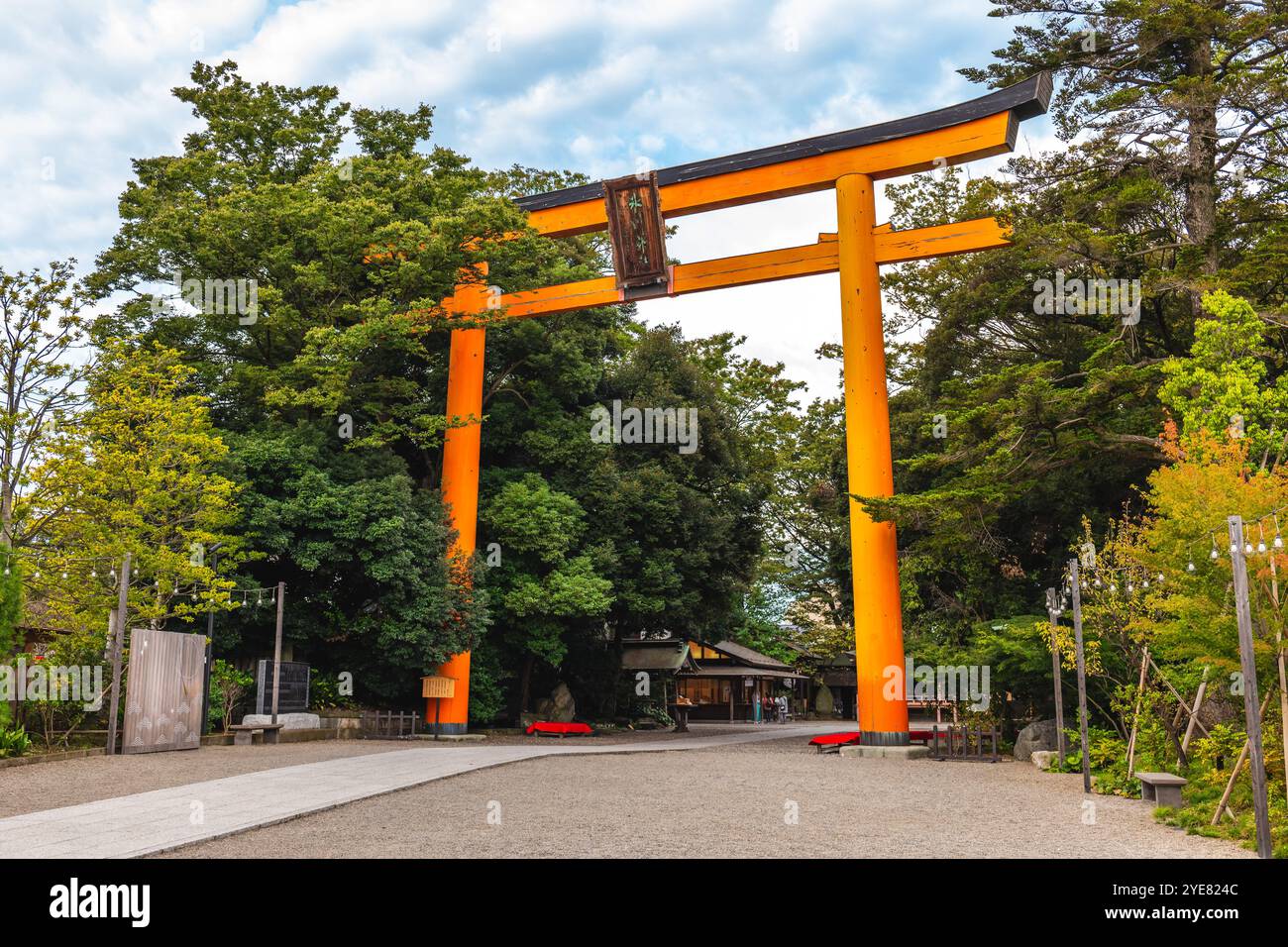 Torii-Tor des Hikawa-Schreins, einem schintoistischen Schrein in Kawagoe, Präfektur Saitama, Japan. Stockfoto