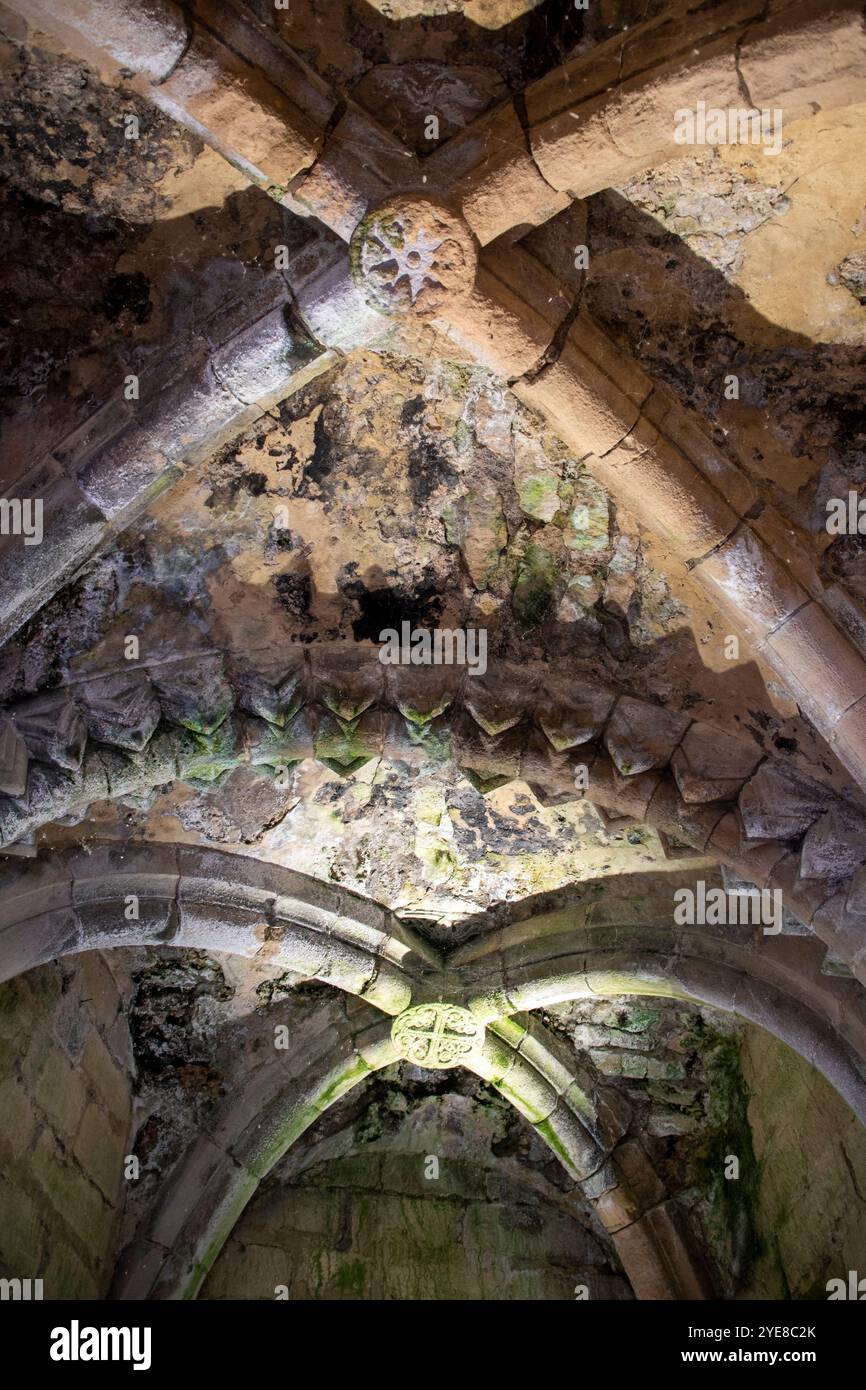 Yorkshire, Großbritannien – 23. Juli 2024: Blick auf die gewölbte Bogendecke der Conisbrough Castle Chapel Stockfoto