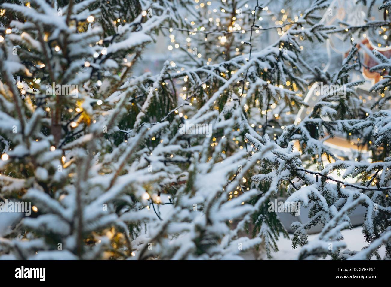 Abstrakte weihnachtslichter auf weißem Pelzbaumhintergrund. Hochwertige Fotos Stockfoto