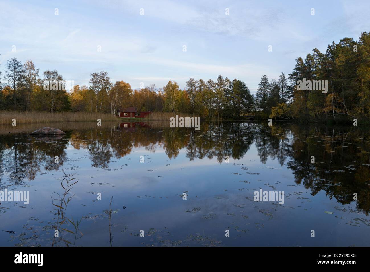 Schwedische Natur und Landschaft im Herbst. Schöner Wald mit Bäumen und einem See. Stockfoto