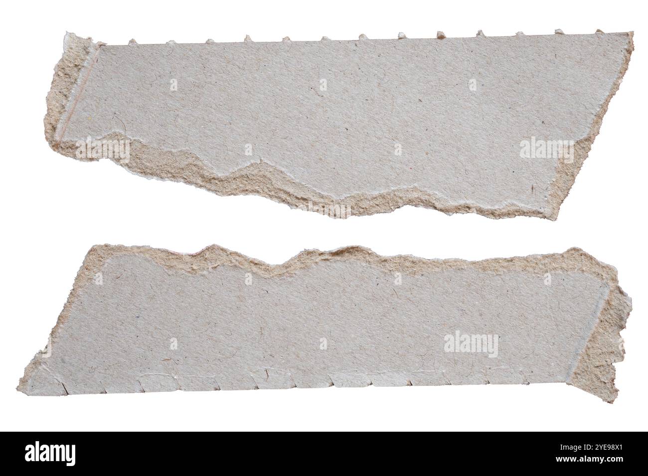 Gerissene graue Papierverpackung mit perforierter Linie auf weißem Hintergrund mit Beschneidungspfad Stockfoto