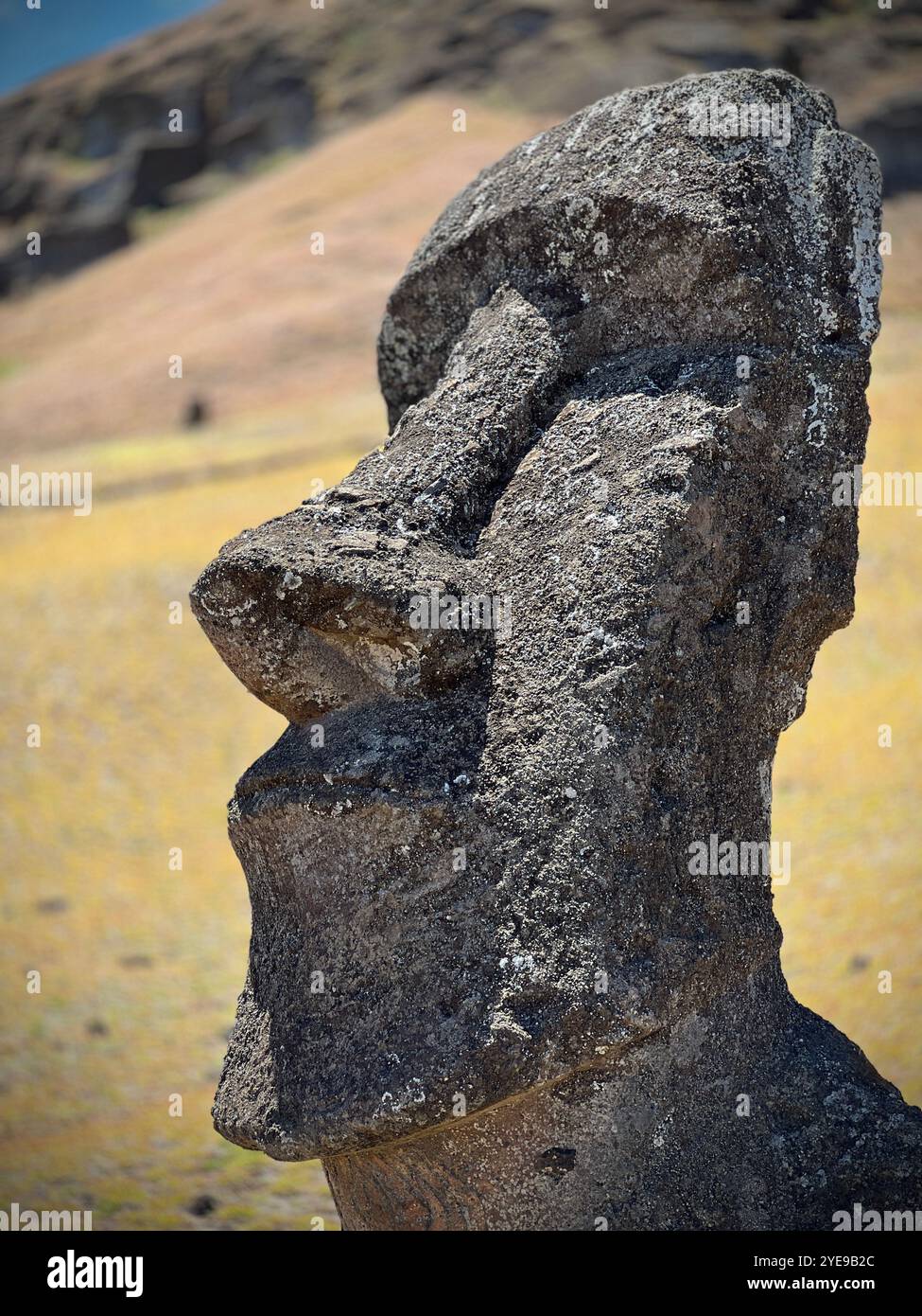 Nahaufnahme einer verwitterten Moai-Statue auf der Osterinsel, Chile, die ihre alte Steinstruktur vor einer natürlichen Landschaft mit Rapa Nui hervorhebt. - Smartphone-aufgenommenes Stockfoto