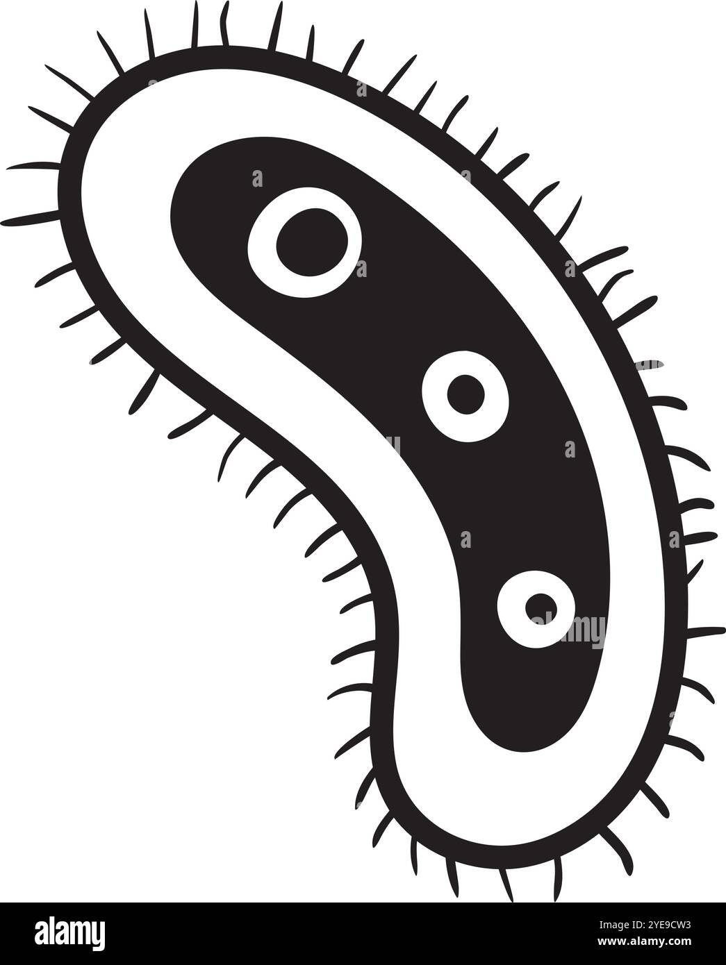 Schwarz-weiße Zeichnung eines Parameciums, das anmutig schwimmt und zarte Zilien zeigt, perfekt für Bildungszwecke Stock Vektor