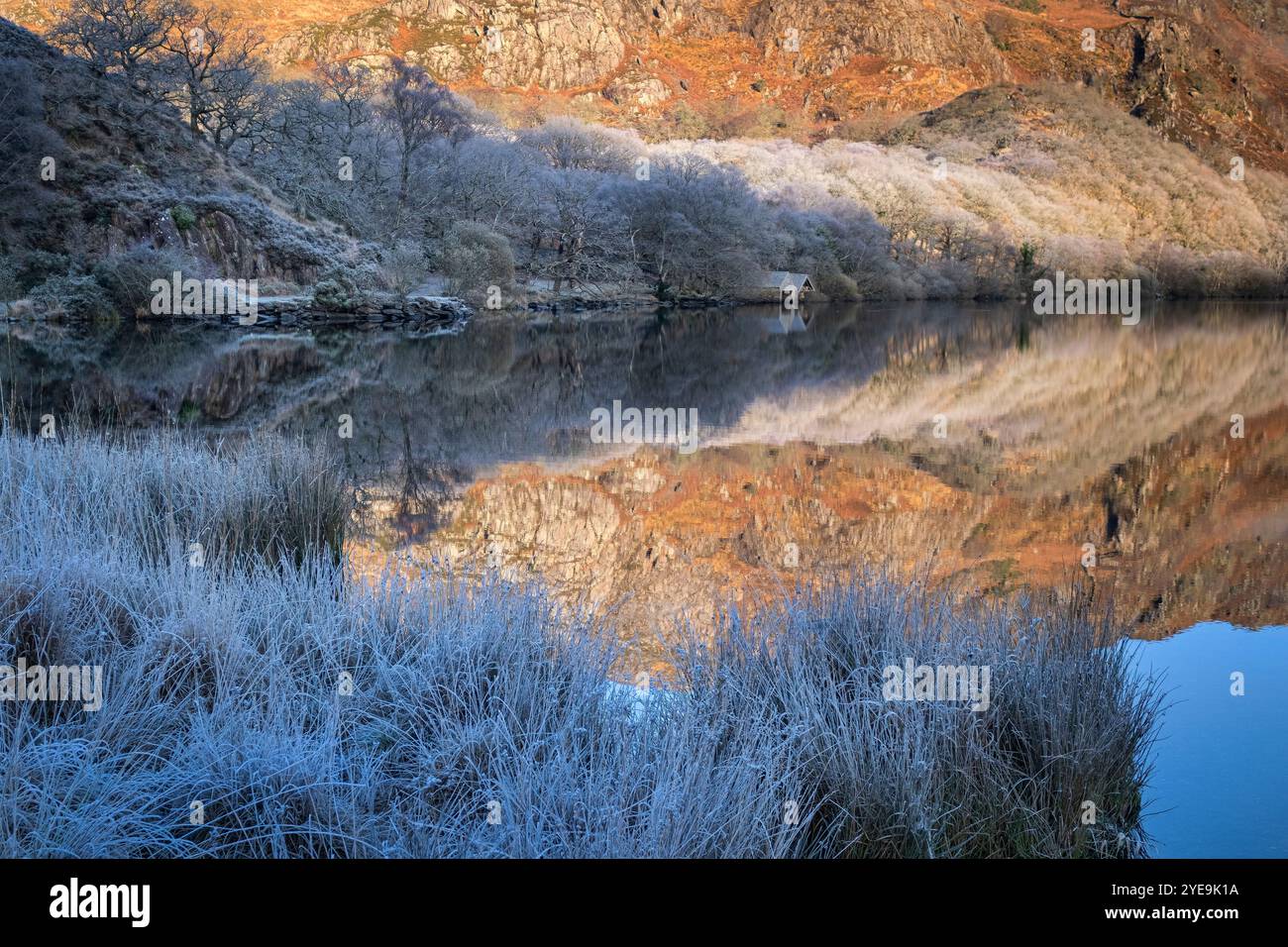 Am frühen Morgen Licht auf Llyn Dinas im Winter, in der Nähe von Bedgellert, Snowdonia National Park, Eryri, Nordwales, UK Stockfoto