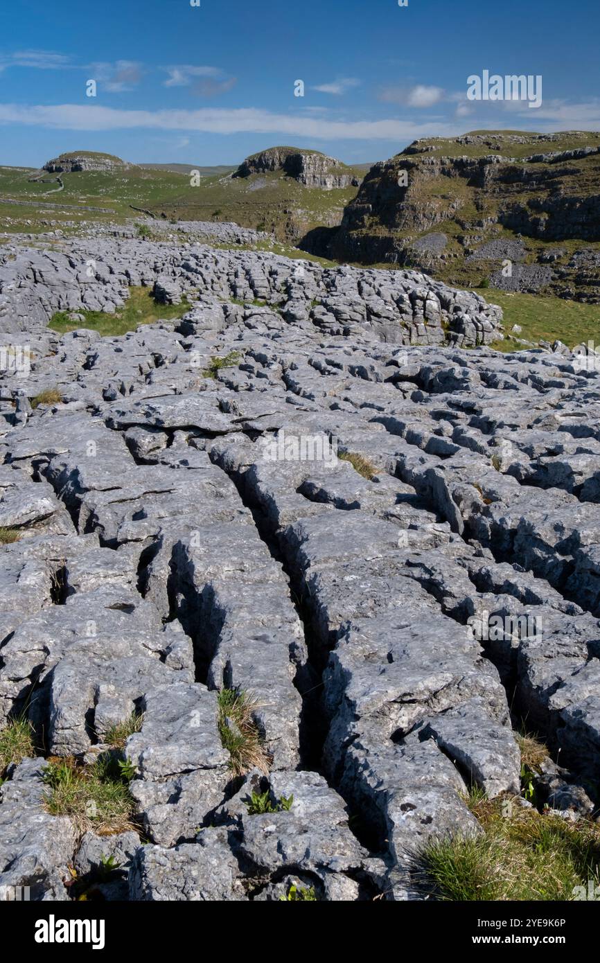 Kalksteinpflaster oberhalb des Watlowes Dry Valley in der Nähe von Malham, Yorkshire Dales National Park, Yorkshire, England, Großbritannien Stockfoto