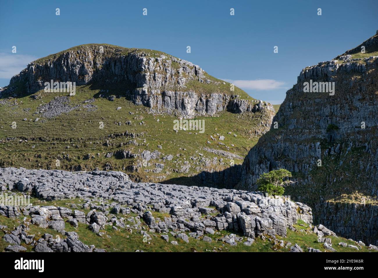 Kalksteinpflaster oberhalb des Watlowes Dry Valley in der Nähe von Malham, Yorkshire Dales National Park, Yorkshire, England, Großbritannien Stockfoto