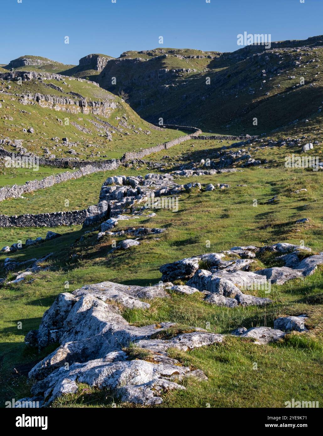 Watlowes Dry Valley, in der Nähe von Malham, Yorkshire Dales National Park, Yorkshire, England, Großbritannien Stockfoto
