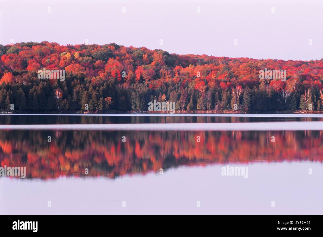 Meech Lake im Herbst im Gatineau Park, Quebec; Quebec, Kanada Stockfoto