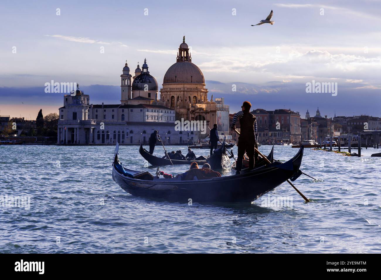 Touristen in Gondeln auf einem Kanal in der Dämmerung in Venedig. Kirche Santa Maria della Salute im Hintergrund; Venedig, Region Venetien, Italien Stockfoto