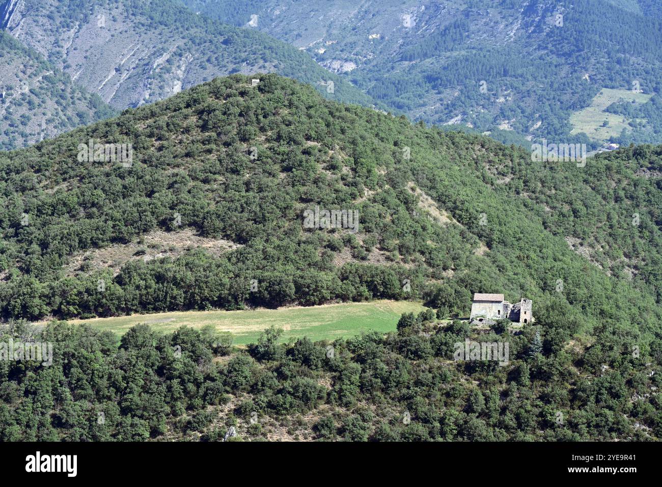 Abgelegener, verlassener und ruinierter Bauernhof, Bauernhof oder Hügelhof im Wald der Unteralpen oder Voralpen Alpes-de-Haute-Provence Frankreich Stockfoto