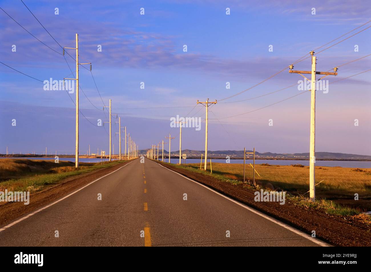 Straße gesäumt von Freileitungen, die zum Wasser und zur Küste führen Stockfoto