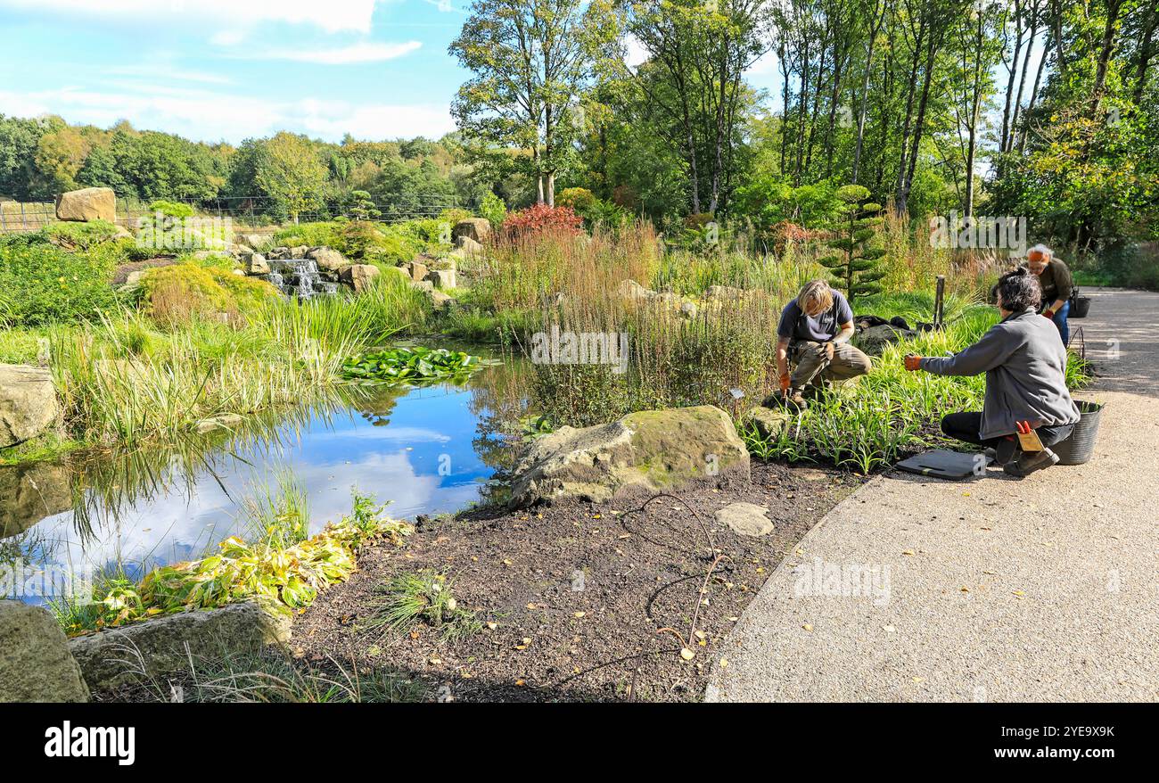 Gärtner im Chinese Streamside Garden, RHS Bridgewater Garden, Worsley in Salford, Greater Manchester, England, UK Stockfoto