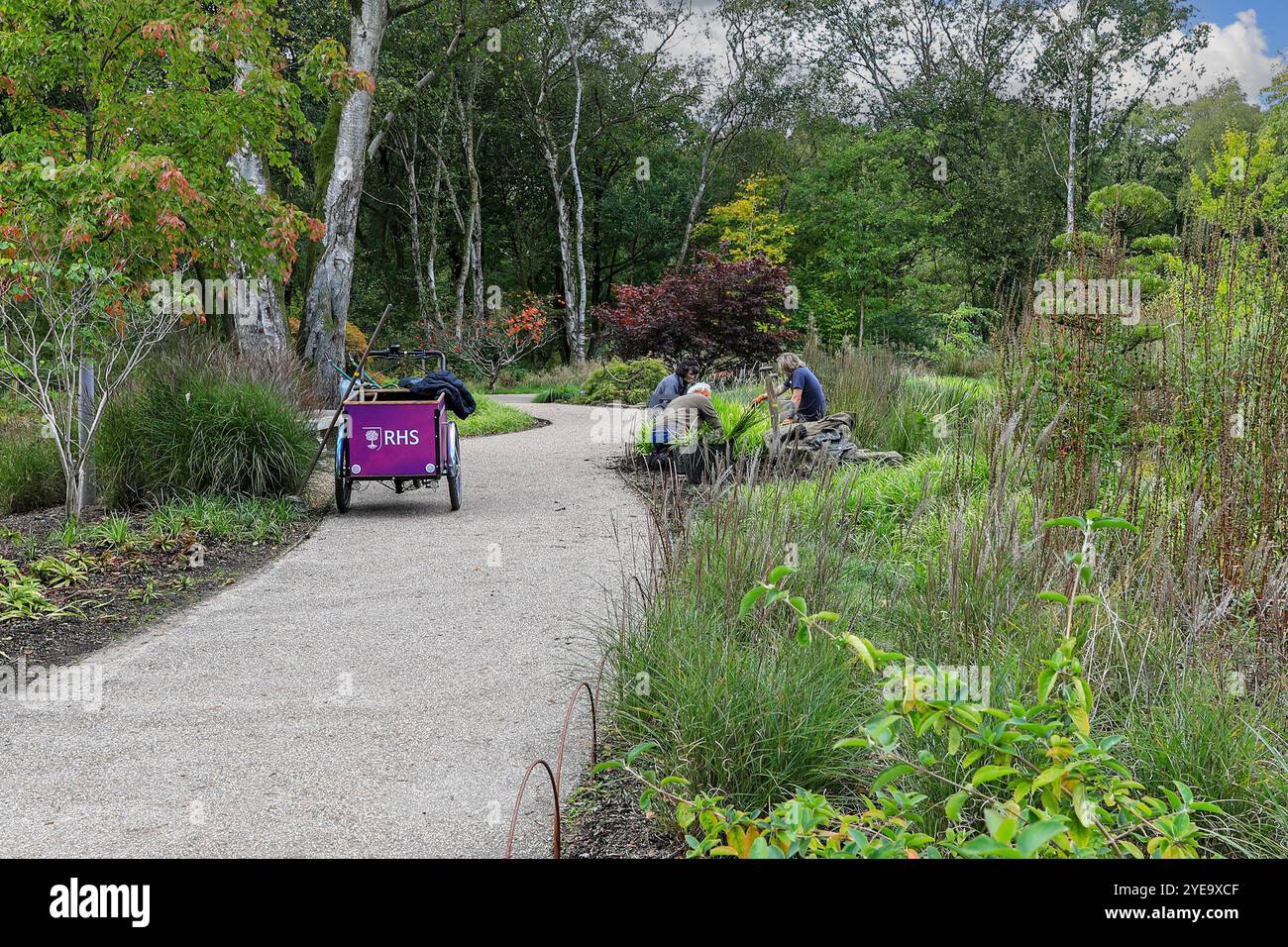 Gärtner und ein Gärtnerdreirad in den RHS Garden Bridgewater Gardens, Worsley in Salford, Greater Manchester, England, Großbritannien Stockfoto