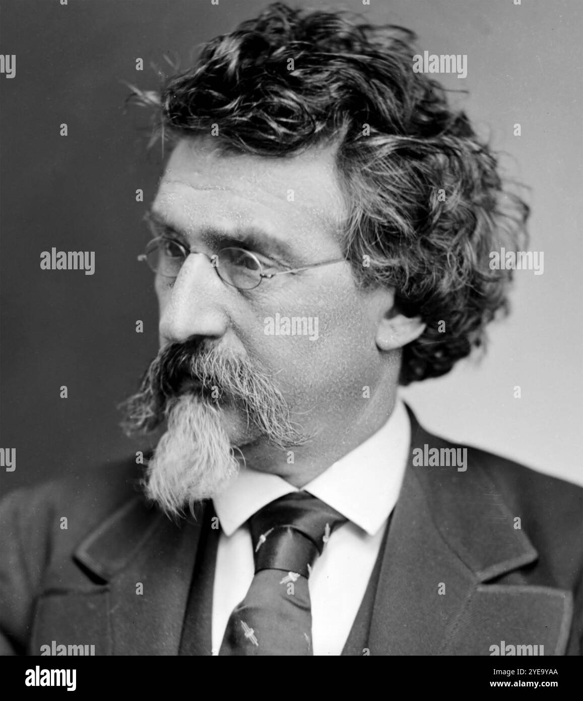 MATTHEW BRADY (1824–1896) US-amerikanischer Fotograf in einem Selbstporträt um 1875 Stockfoto