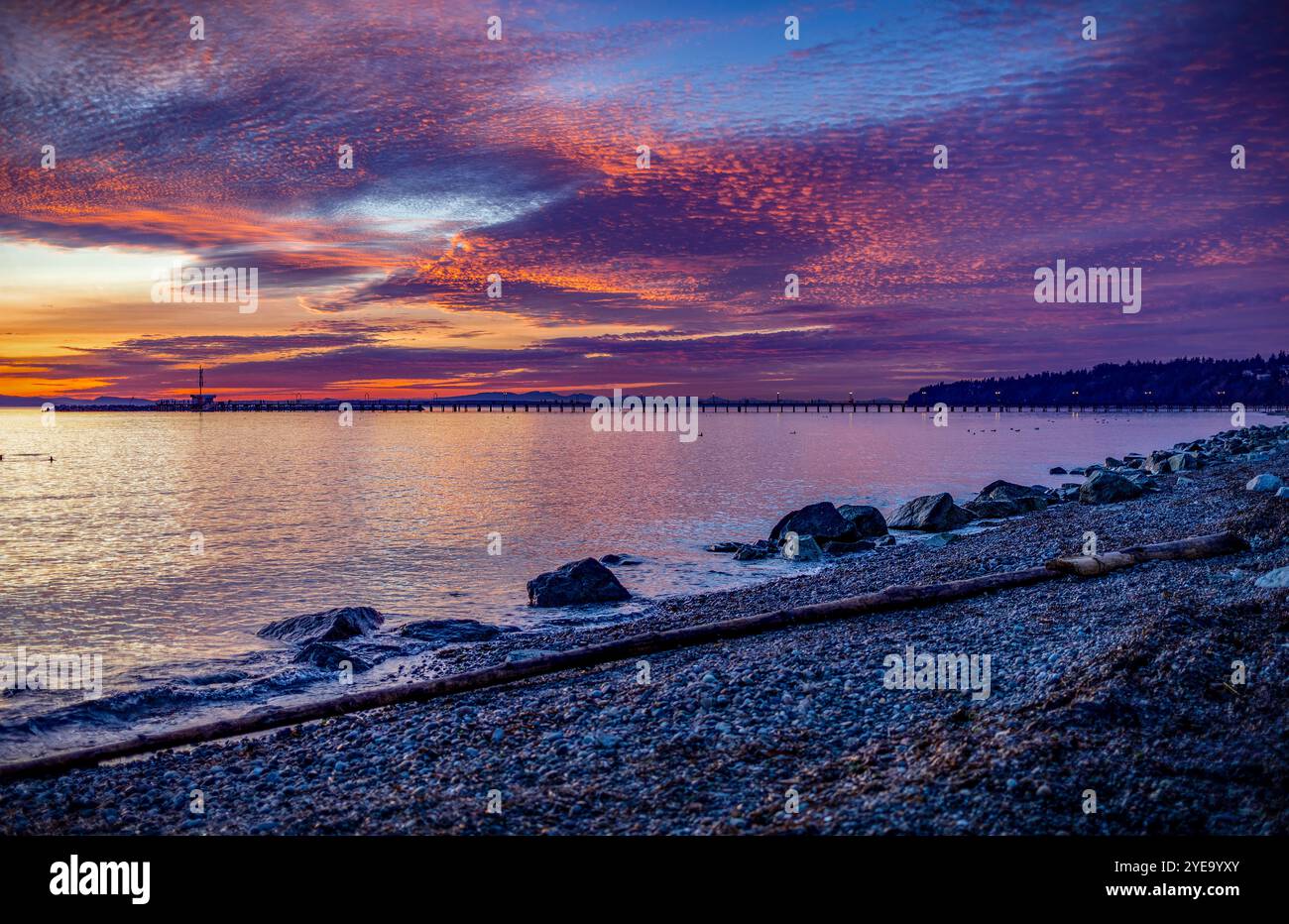 Blick vom Strand aus auf spektakuläre rosa und violette Wolken, die sich in der Dämmerung auf dem Pazifischen Ozean spiegeln, mit dem White Rock Pier in der Ferne, WHI... Stockfoto