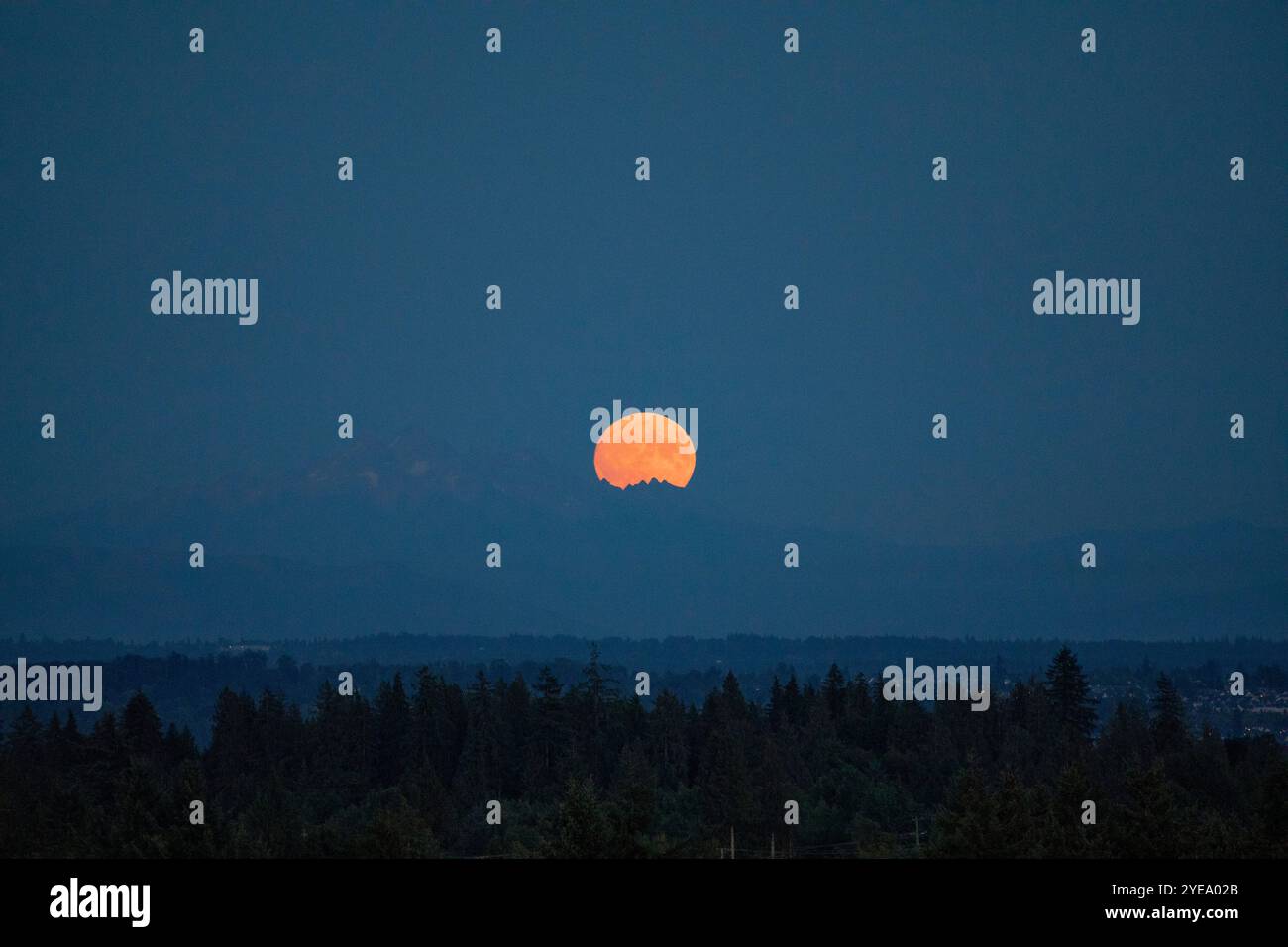 Ernten Sie den Mond hinter den Bergen in Surrey, BC, Kanada; Surrey, British Columbia, Kanada Stockfoto