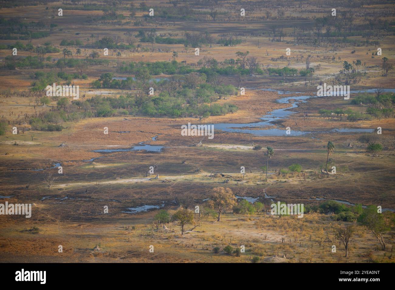 Okavango-Delta vom Hubschrauber aus gesehen Stockfoto Okavango-Delta vom Hubschrauber aus gesehen Stockfoto