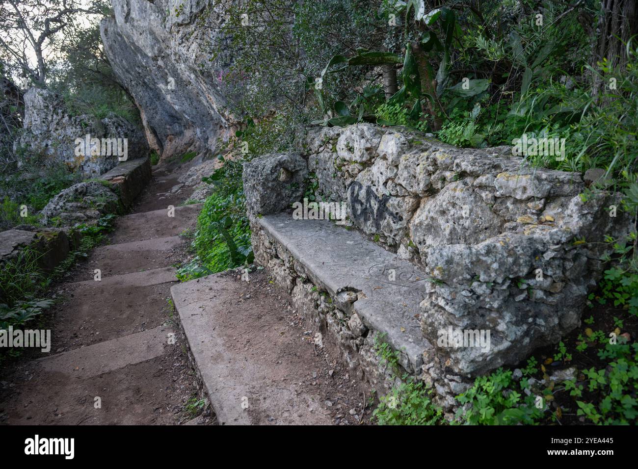 Stufen und Pfad in der Höhle von Lapa de Santa Margarida entlang der Küste Portugals; Sao Lourenco, Setubal, Portugal Stockfoto