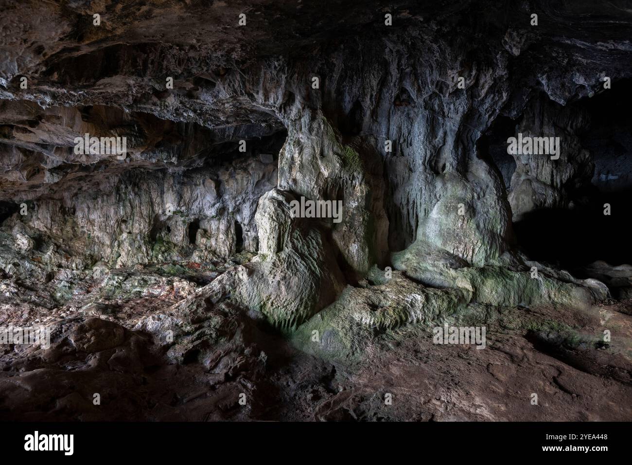 Höhle von Lapa de Santa Margarida entlang der Küste Portugals; Sao Lourenco, Setubal, Portugal Stockfoto