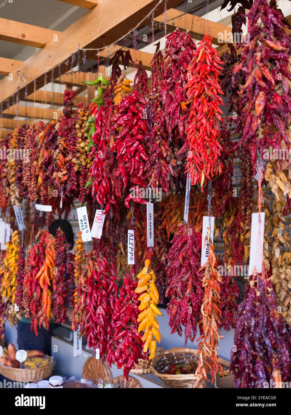 Chilischoten hängen von einem Holzständer auf dem Markt in Funchal; Funchal, Madeira, Portugal Stockfoto