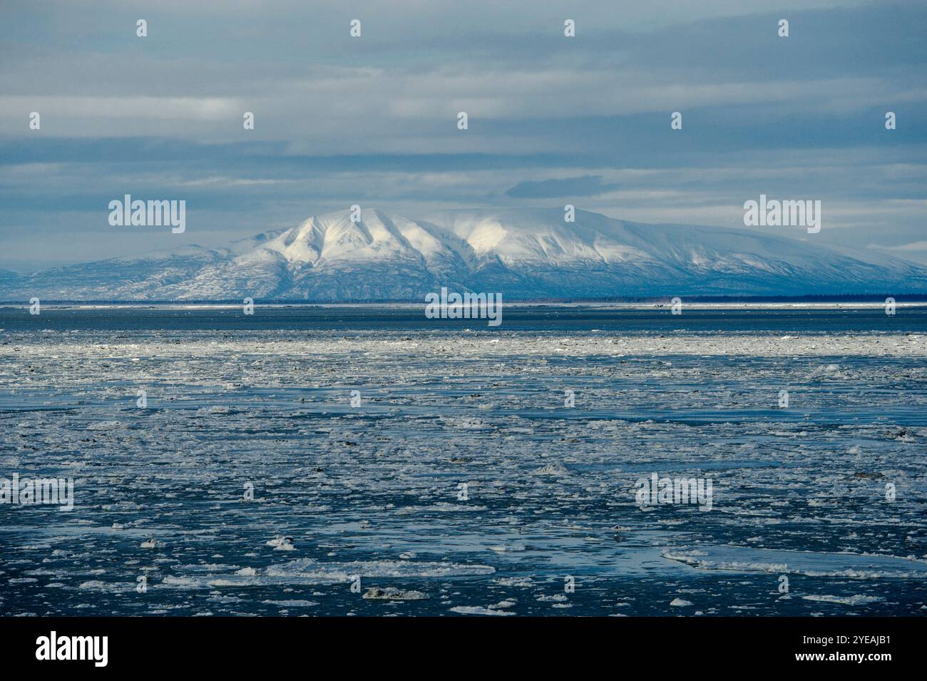 Blick auf schneebedeckte Berge und eiskaltes Wasser von Anchorage; Anchorage, Alaska, Vereinigte Staaten von Amerika Stockfoto