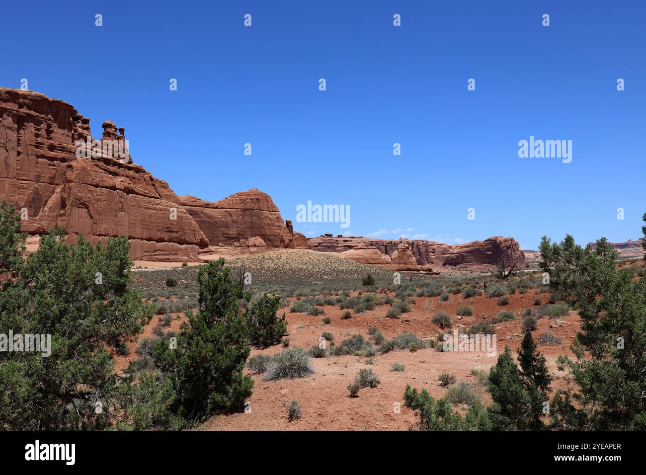 Eine Wüstenlandschaft mit interessanten Felsformationen, Bergen, trockenem Buschland und Evergreens im Arches National Park, Moab, Utah, USA Stockfoto