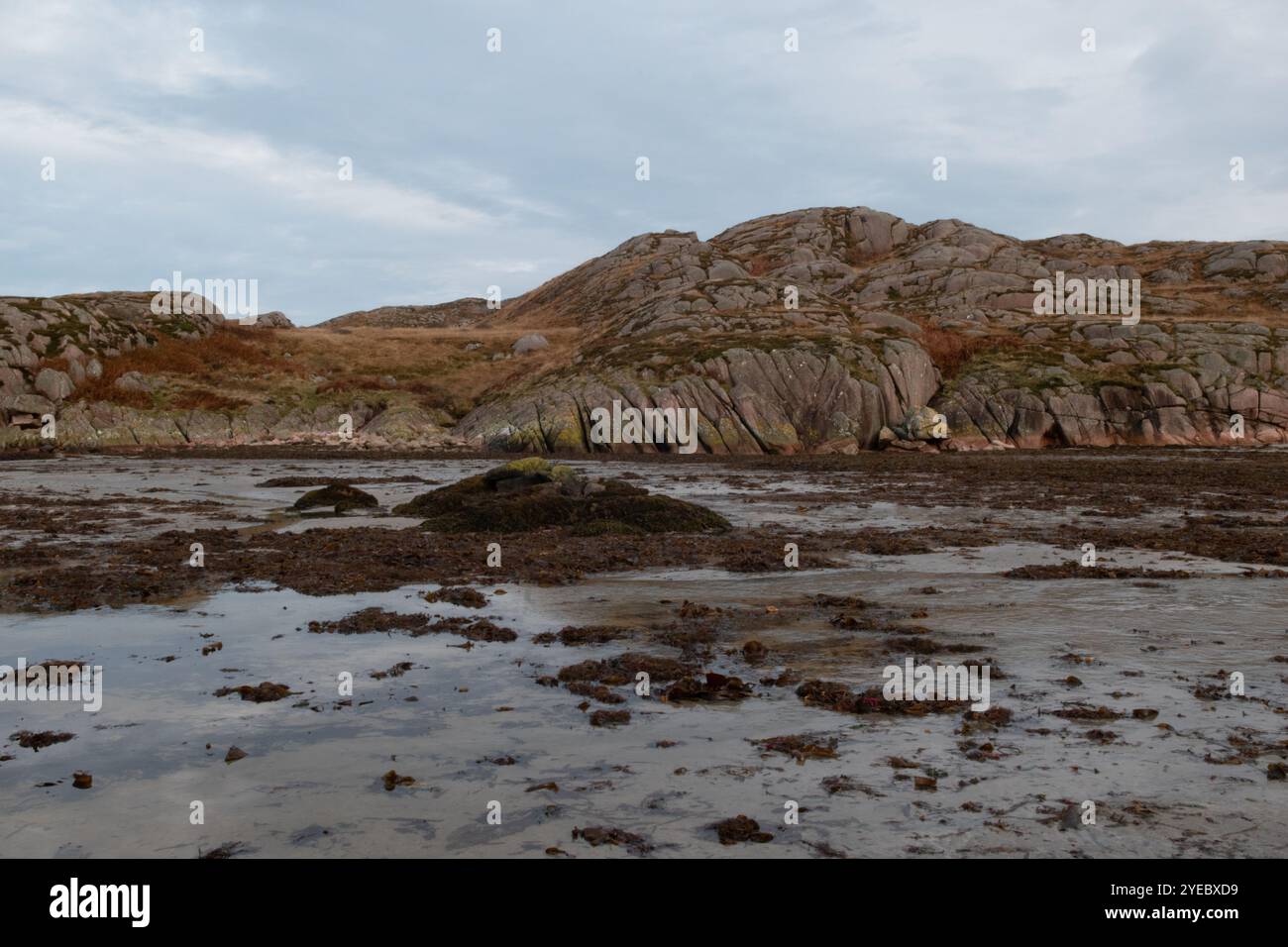 Roter Granit am Fionnphort Beach, Isle of Mull, Schottland Stockfoto
