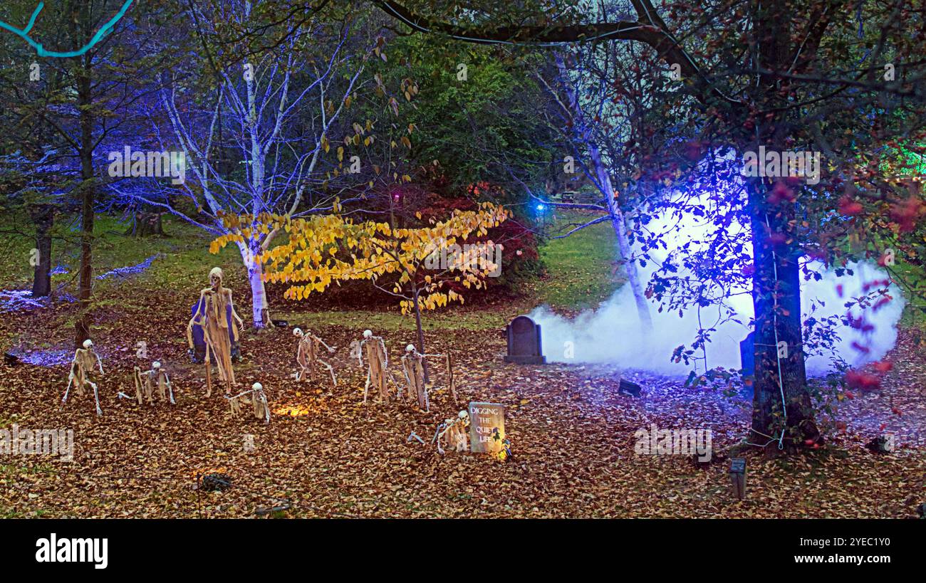 Glasgow, Schottland, Großbritannien. 30. Oktober 2024. UK Wetter: Herbstwetter und ein Blattbett für Halloween als „Glasglow“ im Botanics Public Park im grünen West End bei Nacht von draußen auf der Straße mit dem Skelett „Knochen“ Friedhof und dem Grab des „Unbekannten“ aus dem berühmten Willy wonka Erlebnis komplett mit seinem Skelett. Credit Gerard Ferry/Alamy Live News Stockfoto