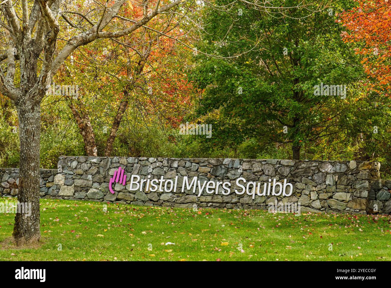 Devens, MA - 16. Oktober 2024: Bristol Myers Squibb in Devens ist ein Entwicklungs- und Produktionsstandort für Zelltherapie und Biologika. Stockfoto