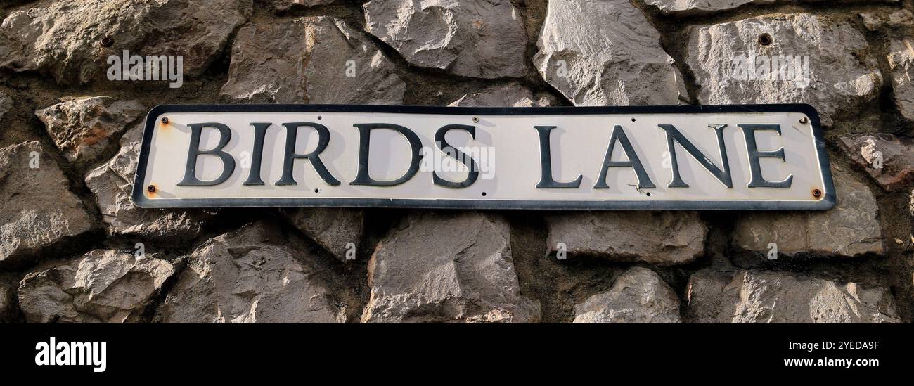 Straßenschild für Birds Lane an einer Steinmauer, Cowbridge, Vale of Glamorgan, South Wales, Großbritannien. Oktober 2024. Herbst Stockfoto