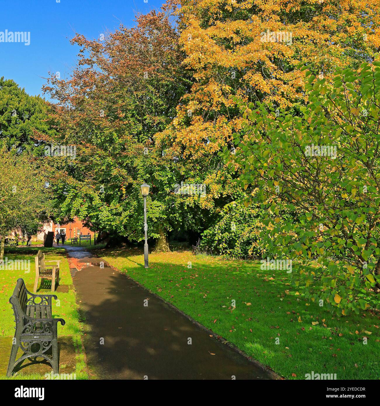 Blick auf Old Hall, Cowbridge, Vale of Glamorgan, South Wales, Großbritannien. Oktober 2024. Herbst Stockfoto